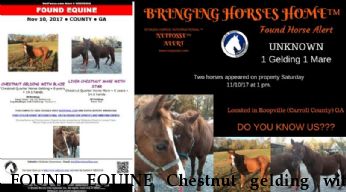 FOUND EQUINE Chestnut gelding with Blaze,+ Liver Chestnut mare with star  Near Roopville, GA, 30170